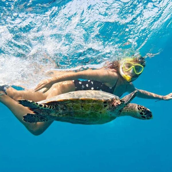 Marsa Alam Snorkelling