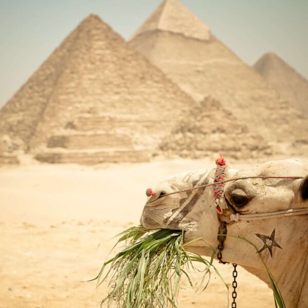 Cairo Pyramids Tour